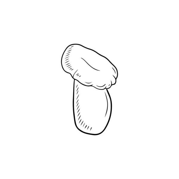 Pleurotus Eryngii Champignon Trompette Royale Champignon Cor Français Eryngi Champignon — Image vectorielle