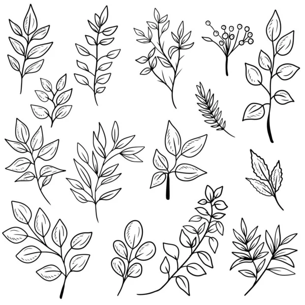 stock vector Set of different abstract branch with leaves of different shapes in black isolated on white background. Hand drawn vector sketch illustration in doodle engraved vintage style. Natural, botanical