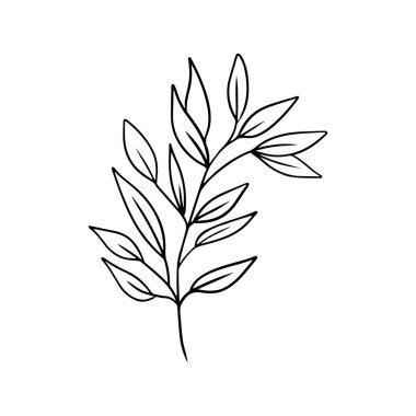Beyaz arka planda siyah yapraklı, dinamik, güzel bir tropikal dal. El çizimi vektör çizimi çizimi klasik karalama oymalı çizim sanatı tarzında. Botanik, çiçekli tek çizim.