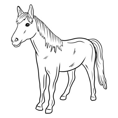 Beyaz arka planda siyahlar içinde duran güzel gerçekçi at. El çizimi vektör çizimi çizimi, karalama, klasik çizim tarzı. Çiftlik kavramı, evcil hayvan.