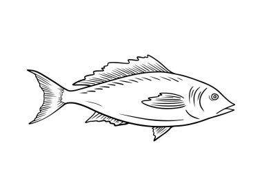 Siyahlı sazan balığı, beyaz arka planda izole edilmiş. El çizimi vektör çizimi çizimi, karalama yapılmış vintage tarzında. Balık kavramı, deniz ürünleri, havyar, restoran menüsü, ikon