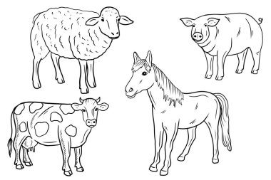 Evcil hayvanlar takımı. Beyaz arka planda izole edilmiş inek, koyun, at, domuz. El çizimi vektör çizimi çizimi karalama çizimi sanat tarzında. Çiftlik, köy kavramı