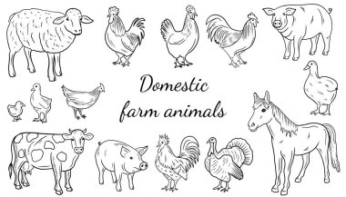 Gerçekçi çiftlik hayvanları: domuz, inek, at, koyun, tavuk, horoz, kaz, hindi, bıldırcın, siyah ördek. El çizimi vektör çizimi çizimi karalama işlemeli vintage çizim sanatı