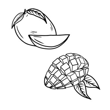 Mango seti ve beyaz arka planda siyah renkte dilimlenmiş. El çizimi vektör çizimi çizimi, karalama, klasik çizim tarzı. Meyve suyu şerbet, meyve püresi