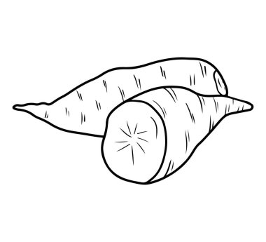 Tam ve yarım tatlı patates Ipomoea yarasaları soyulmamış beyaz arka planda siyah izole edilmiş. El çizimi vektör çizimi çizimi, karalama, klasik çizim tarzı. Süper yiyecek, lezzetli sebze.