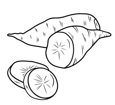 Tam ve yarım tatlı patates Ipomoea yarasaları soyulmamış beyaz arka planda siyah izole edilmiş. El çizimi vektör çizimi çizimi, karalama, klasik çizim tarzı. Süper yiyecek, lezzetli sebze.