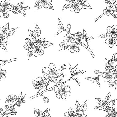 Güzel çiçekli kiraz çiçekleri ve beyaz üzerine siyah tomurcuklu tomurcukları olan kusursuz bir desen. El çizimi vektör çizimi çizimi, karalama, klasik çizim tarzı. Bitki bilimi