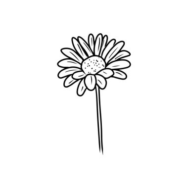 Beyaz arka planda siyah izole edilmiş zarif ve güzel bir papatya çiçeği. El çizimi vektör çizimi çizimi, karalama, klasik çizim tarzı. Boyama kitabı, bitki