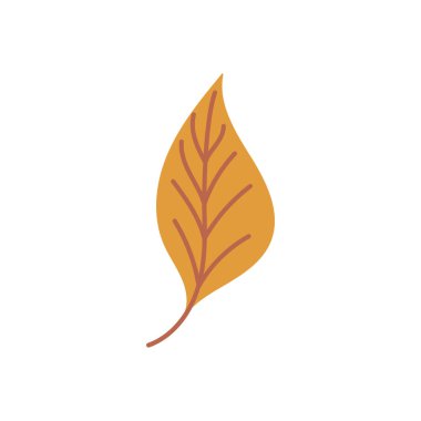 Güzel sarı defne yaprağı. Kayın ağacı, kestane ağacı, beyaz arka planda izole edilmiş. El çizimi düz vektör çizimi. Sonbahar simgesi, sembol, yeşillik tasarımı, etiket