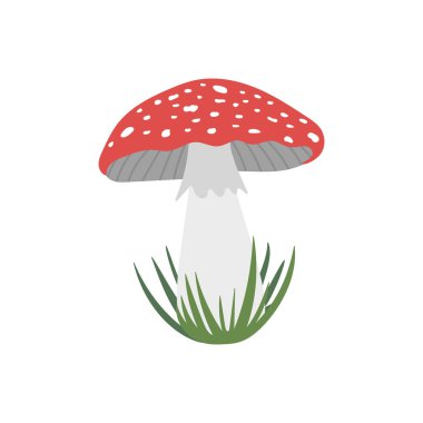 Beyaz arka planda izole edilmiş çimenlerdeki güzel kırmızı sinekli agarik mantar. El çizimi vektör düz çizim. Zehirli mantar, doğa, sonbahar sembolü, ikon