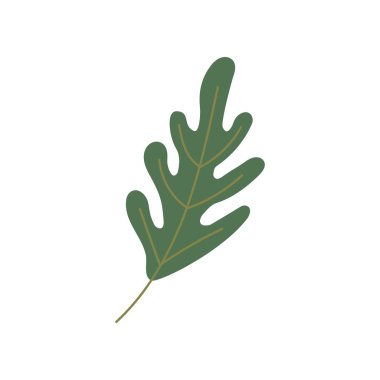 Güzel düşen yeşil meşe yaprağı beyaz arka planda izole edilmiş. El çizimi vektör düz karalama renkli çizim. Sonbahar sembolü, etiket, simge