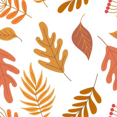 Güz yapraklarının beyaz arka planda döküldüğü güzel, pürüzsüz desen. El çizimi düz vektör çizimi. Meşe yaprağı, akçaağaç, defne, kestane yaprakları kahverengi, turuncu, sarı