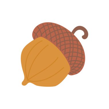 Beyaz arka planda izole edilmiş meşe ağacından güzel bir meşe palamudu. El çizimi düz vektör çizimi. Sonbahar yaprakları, yapraklar, simge, sembol, etiket tasarımı