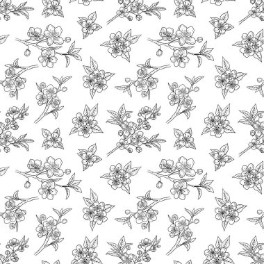 Güzel çiçekli kiraz çiçekleri ve beyaz üzerine siyah tomurcuklu tomurcukları olan kusursuz bir desen. El çizimi vektör çizimi çizimi, karalama, klasik çizim tarzı. Bitki bilimi
