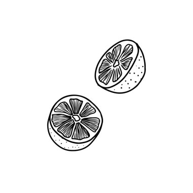İki limonlu yarı siyah, beyaz arka planda. El çizimi vektör çizimi çizimi, karalama, klasik çizim tarzı. Lezzetli narenciye, meyve suyu, paket tasarımı, malzeme kavramı