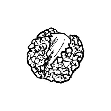 Siyah fırça darbesi desenli liçi meyvesi beyaz arka planda izole edilmiş. Klasik kömür mürekkebiyle elle çizilmiş vektör çizimi. Tropik meyve tasarımı, paket, Asya ağacı