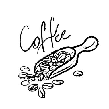Kahve çekirdekleri siyah fırça darbeleriyle beyaz arkaplanda izole edilmiş siyah çizim yaparlar. Klasik kömür mürekkebiyle elle çizilmiş vektör çizimi. Poster tasarımı, menü, sembol