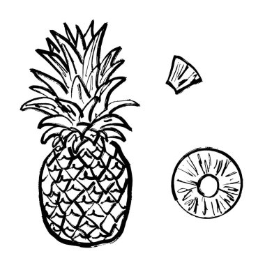 Yapraklı ve siyah fırça dokunuşlu dilimli ananas beyazı izole edilmiş. Klasik kömür mürekkebiyle elle çizilmiş vektör çizimi. Tropik meyve, sağlıklı beslenme, baskı tasarımı