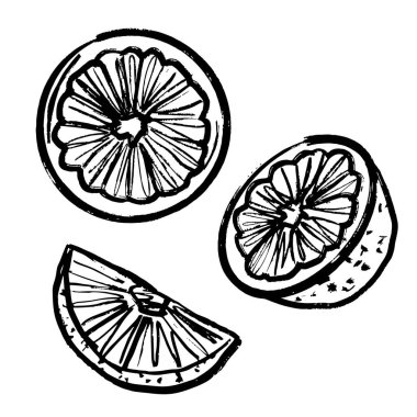 Turuncu meyve bütün, yarım dilim siyah fırça darbesi dokusu beyaza izole edilmiş. Klasik kömür mürekkebiyle elle çizilmiş vektör çizimi. Tropik meyve, baskı tasarımı, menü, kokteyl