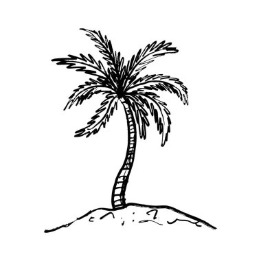 Sahilde büyüyen palmiye ağacı siyah fırça dokunuşuyla beyaza izole edilmiş. Klasik kömür mürekkebiyle elle çizilmiş vektör çizimi. Deniz tatili, baskı tasarımı, seyahat çizimi