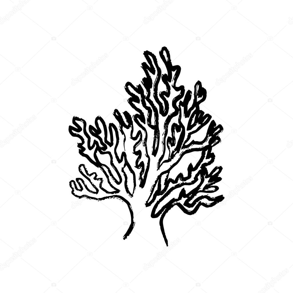 Coral reef with branches as a symbol of marine life and underwater in black brush stroke texture isolated on white. Hand drawn vector sketch illustration in vintage charcoal ink. Diving, beauty.