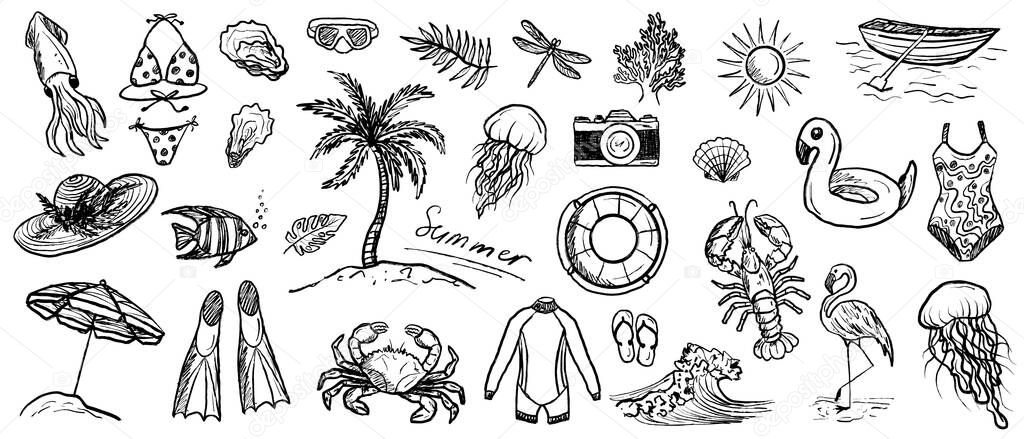 Sea vacation equipment in black brush stroke texture isolated on white. Hand drawn vector sketch illustration in vintage charcoal ink. Palm tree on a beach, marine animals design