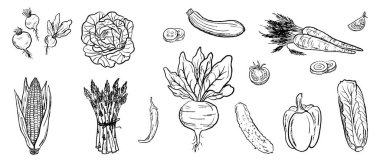 Havuçlu sebze hasadı, kuşkonmaz, pancar, biber, salata, mısır, turp, kabak ve siyah fırça dokusu beyaza izole edilmiş. Klasik kömür mürekkebiyle el çizimi vektör çizimi çizimi