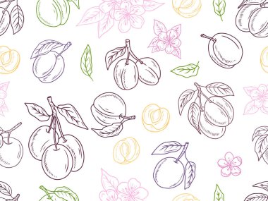 Beyaz arka planda siyah dallı gerçekçi erik ağacı çiçeğiyle kusursuz bir desen. El çizimi vektör çizimi çizimi, karalama, klasik çizim tarzı. Kayısı meyvesi, vitamin