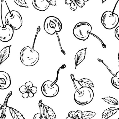 Siyah fırça darbesi desenli sulu kirazlı, dikişsiz desen tasarımı beyaza izole edilmiş. Klasik kömür mürekkebiyle elle çizilmiş vektör çizimi. Yaz meyvesi tasarımı, doku baskısı