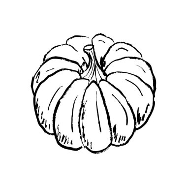 Siyah fırça desenli kabak resmi beyaza izole edilmiş. Klasik kömür mürekkebiyle elle çizilmiş vektör çizimi. Sonbahar sembolü, Cadılar Bayramı, hasat tasarımı, sebze tasarımı