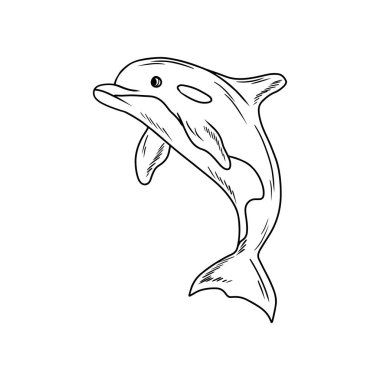 Beyaz arkaplana siyah çizilmiş gerçekçi yunus çizimi, çizilmiş el çizimi çizimi çizimi klasik çizim tarzı. Deniz hayvanı tasarımı. Siyah beyaz klasik sanat.