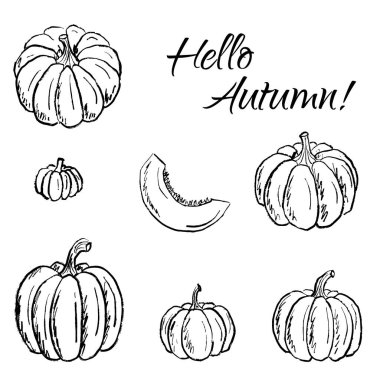 Beyaz üzerine izole edilmiş siyah fırça darbesi desenli balkabağı koleksiyonu çizimleri. Klasik kömür mürekkebiyle elle çizilmiş vektör çizimi. Merhaba sonbahar, Cadılar Bayramı konsepti, sebze tasarımı