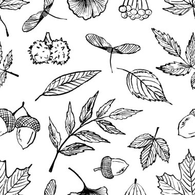 Sonbahar yapraklı kusursuz desen, siyah fırça desenli balkabağı beyaza izole edilmiş. Klasik kömür mürekkebiyle elle çizilmiş vektör çizimi. Kestane, ginkgo, ambalaj kağıdı tasarımı