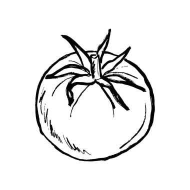 Tüm domates sebzesi, siyah fırça desenli, beyaza izole edilmiş. Klasik kömür mürekkebiyle elle çizilmiş vektör çizimi. Tarım, tarım ürünü, sağlıklı beslenme