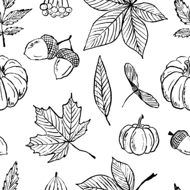 Akçaağaç yaprağı, meşe palamudu, balkabağı, kestane rengi siyah fırça darbesi dokusu beyaza izole edilmiş. Klasik kömür mürekkebiyle elle çizilmiş vektör çizimi. Paket kağıdı