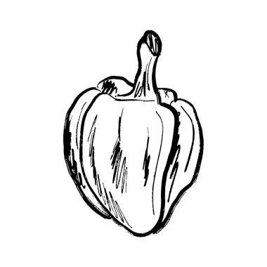 Siyah fırça darbesi desenli büyük çan biberi tasarımı beyaza izole edilmiş. Klasik kömür mürekkebiyle elle çizilmiş vektör çizimi. Lezzetli sebze tasarımı, salata malzemesi, çiftlik, tarım