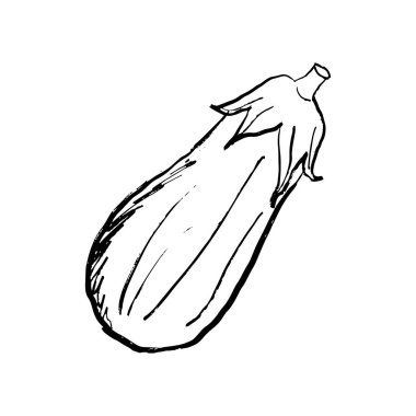 Siyah fırça darbesi desenli patlıcan tasarımı beyaza izole edilmiş. Klasik kömür mürekkebiyle elle çizilmiş vektör çizimi. Taze malzeme, yemek pişirme, logo tasarımı