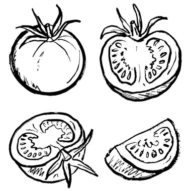 Tüm domates sebzesi, yapraklar ve siyah fırça dokunuşuyla dilimler beyaza izole edilmiş. Klasik kömür mürekkebiyle elle çizilmiş vektör çizimi. Tarım, tarım ürünü etiketi,