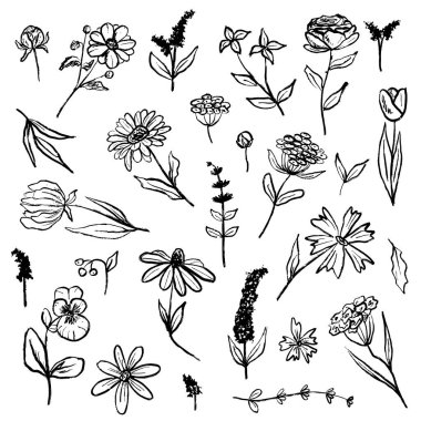 Bir demet güzel tarla çiçeği, papatya, lavanta, battaniye, petunya, koni çiçeği, siyah fırça desenli haşhaş. Klasik kömür mürekkebiyle el çizimi vektör çizimi çizimi