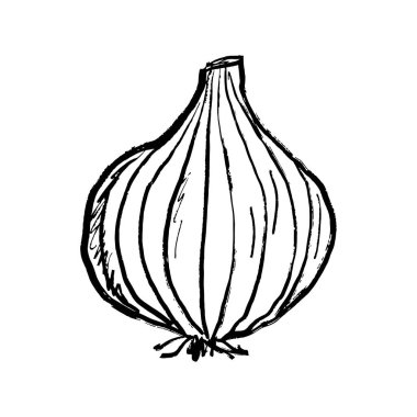Soğan sebzesi, yarım dilimlenmiş ve siyah fırça dokunuşuyla dilimlenmiş, beyaza izole edilmiş. Klasik kömür mürekkebiyle elle çizilmiş vektör çizimi. Taze yemek, yemek, tarım.
