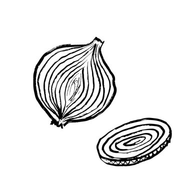 Soğan sebzesi, yarım dilimlenmiş ve siyah fırça dokunuşuyla dilimlenmiş, beyaza izole edilmiş. Klasik kömür mürekkebiyle elle çizilmiş vektör çizimi. Taze yemek, yemek, tarım.