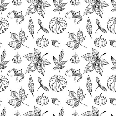 Akçaağaç yaprağı, meşe palamudu, balkabağı, kestane rengi siyah fırça darbesi dokusu beyaza izole edilmiş. Klasik kömür mürekkebiyle elle çizilmiş vektör çizimi. Paket kağıdı