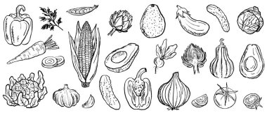 Taze sebze afişi. Çan biberi, mısır, karnabahar, avokado, havuç, siyah fırça darbesiyle soğan beyaza izole edilmiş. Klasik kömür mürekkebiyle el çizimi vektör çizimi çizimi