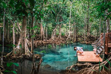 Tha Pom Klong Song Nam 'ın güzel suyunun tadını çıkaran gezgin kız, deniz suyunun tatlı suyla buluştuğu bereketli mangrov ormanı, Krabi Tayland Aralık 2022