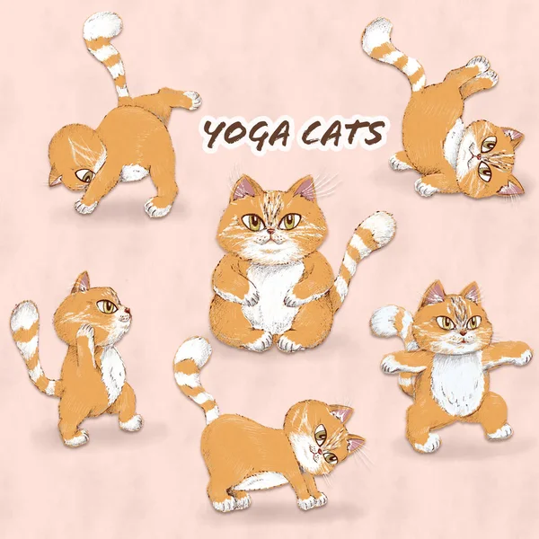 Raster Cartoon Cats in Playful Poses Doing Yoga