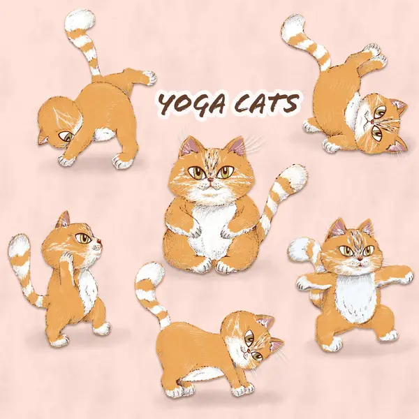 Raster Cartoon Cats Poses Lúdicas Haciendo Yoga — Foto de Stock