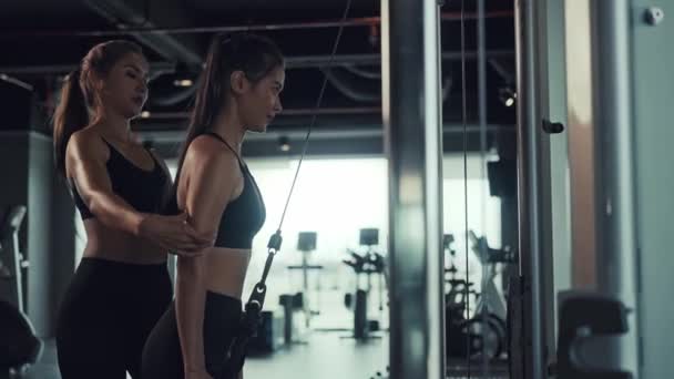 フィットネスジムでエクササイズをしている若いアジアの女性は 個人的なトレーナーとの筋肉と強さを強化するために運動します ジムでのフィットネスエクササイズ — ストック動画