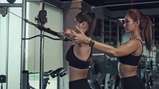 フィットネスジムでエクササイズをしている若いアジアの女性は 個人的なトレーナーとの筋肉と強さを強化するために運動します ジムでのフィットネスエクササイズ — ストック動画
