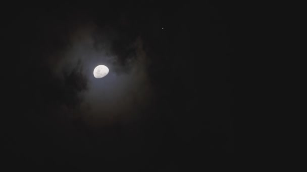Moln Som Passerar Förbi Månen Natten Fullmåne Natten Med Moln — Stockvideo