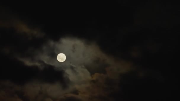 夜になると雲が月を通り過ぎる 雲のリアルタイムで夜の満月 — ストック動画